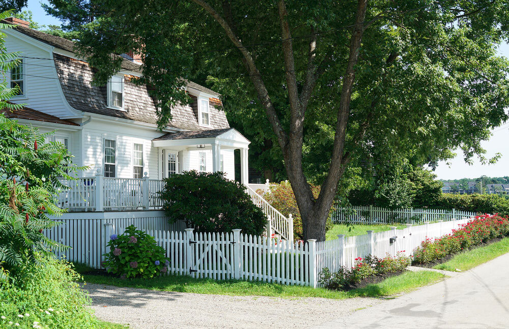 Why you Shouldn’t Plant Trees Too Close to Your House